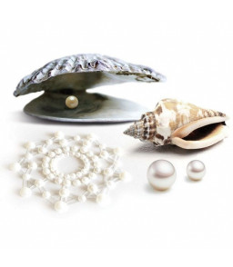 Couvre-tétons élégants blancs en strass à perles Mimi pearl - Bijoux