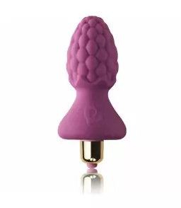 Plug Anal Vibrant Butt Plug Ass Raspberry Violet - Rocks-Off