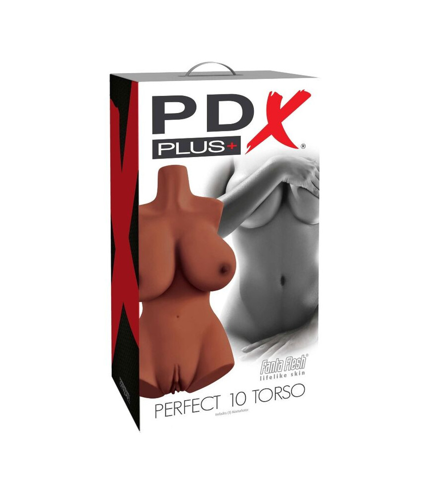 PDX PLUS + PERFECT 10 TORSO - MARRON