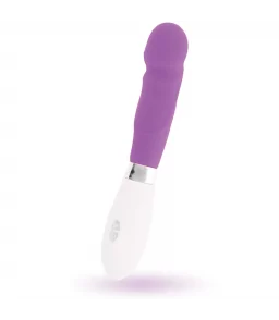 Vibrateur femme Paul Brillant violet - Glossy | Nudiome