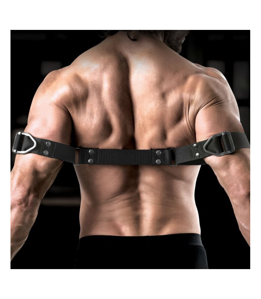 Reliure à biceps robuste avec anneaux de verrouillage en acier inoxydable - Sir Richards