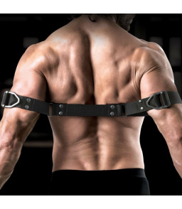 Reliure à biceps robuste avec anneaux de verrouillage en acier inoxydable - Sir Richards