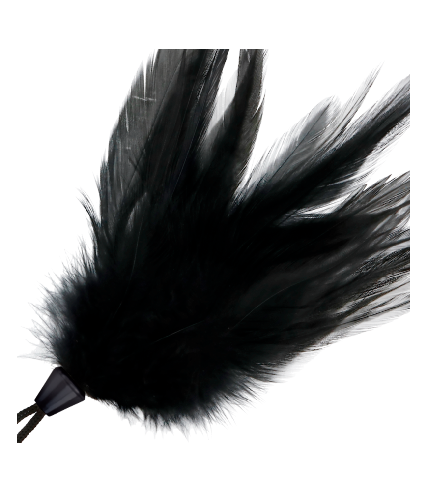 Plume noire pour bdsm 17 cm - Darkness Sensations
